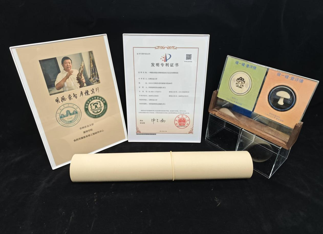 菌物纸张制品展示